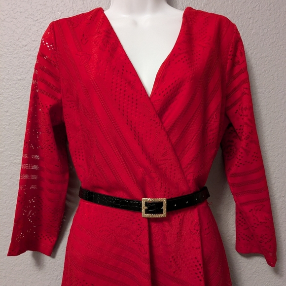 Danny & Nicole Ruby Red 3/4 Sleeve Dress Striped Floral Lace Midi Sz. 10 - Picture 11 of 16